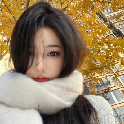 《沙普的挑战》海报
